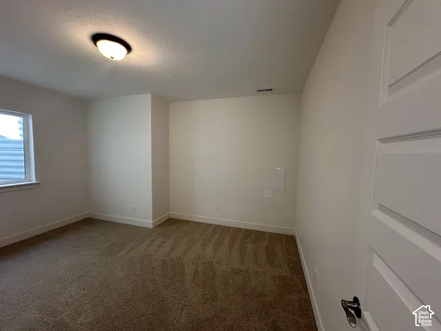 Neutral color palette throughout this room, featuring plush carpeting, a single window, and a flush-mount ceiling light fixture