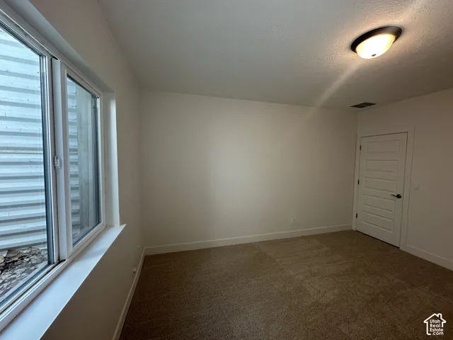 Spacious room featuring neutral carpeting, white walls, and a modern five-panel interior door with matte black hardware