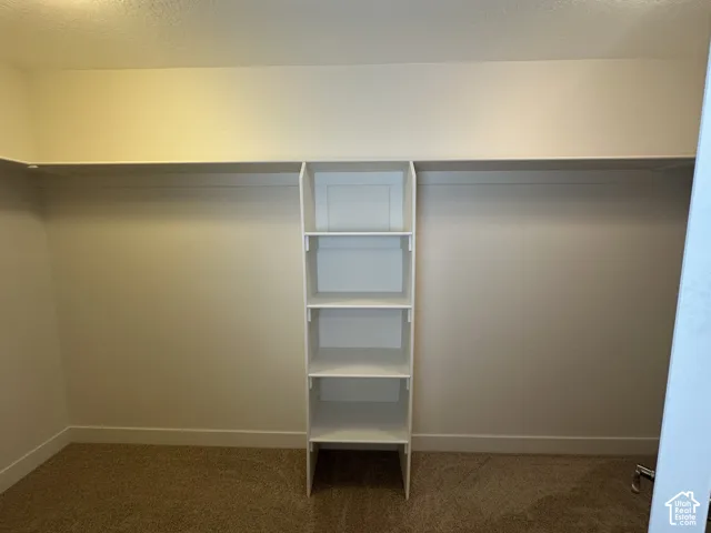 Walk-in closet featuring carpet flooring, built-in shelving, and hanging rods