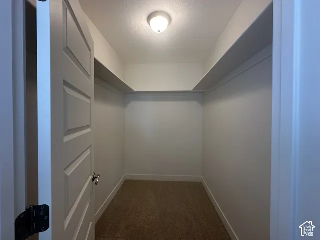 Carpeted walk-in closet featuring built-in shelving, white trim, and a ceiling-mounted light fixture