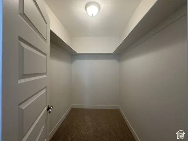 Walk-in closet featuring built-in shelving, neutral carpeting, white trim, and a ceiling-mounted light fixture