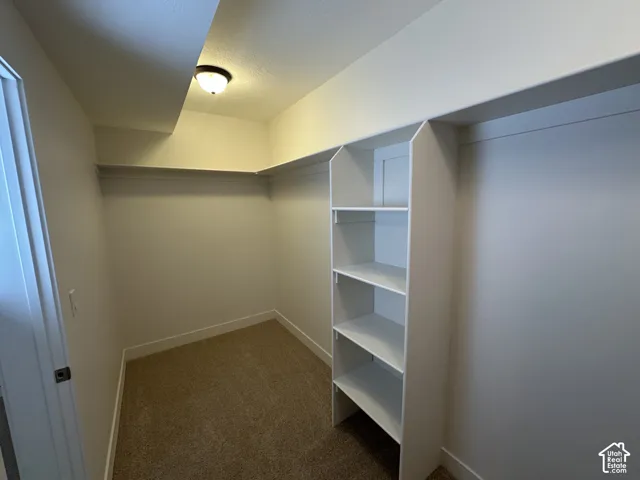 Walk-in closet featuring built-in shelving, hanging rods, neutral wall paint, and recessed lighting