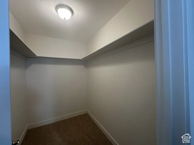 Recessed walk-in closet featuring built-in shelving, overhead dome lighting, and neutral tone carpeting