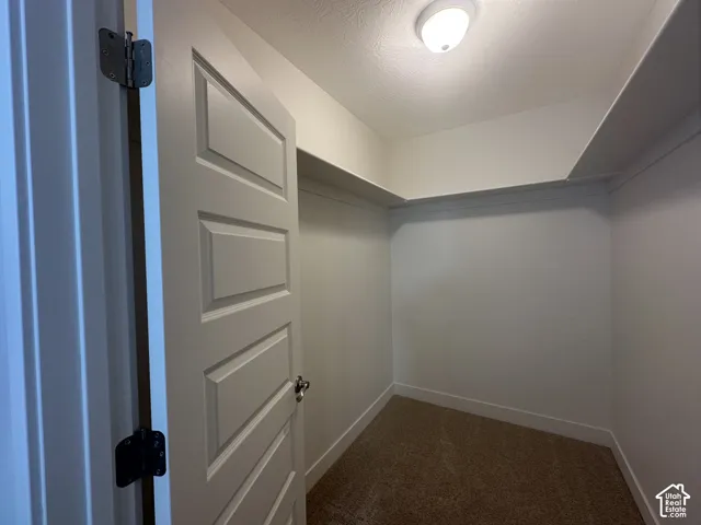 Recessed walk-in closet with overhead lighting and a textured carpeted floor