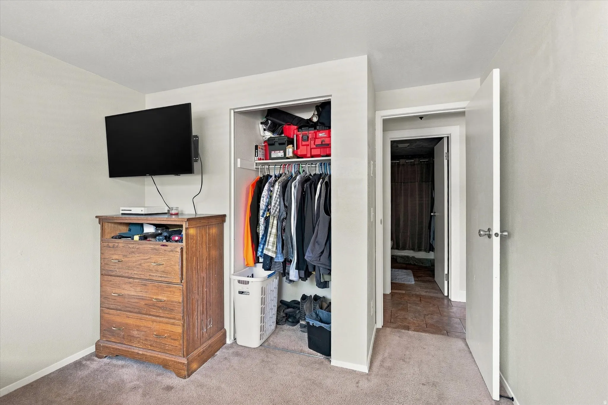 Neutral wall color, carpeted flooring, and a built-in closet with shelving and hanging rods