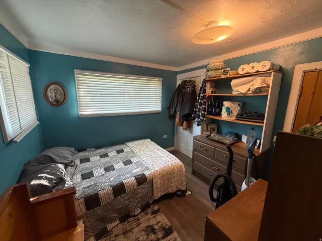 Room featuring two windows with horizontal blinds, wood-finish flooring, and a ceiling-mounted light fixture