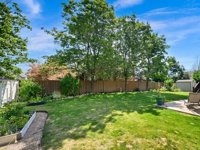 Backyard showing mature shade trees