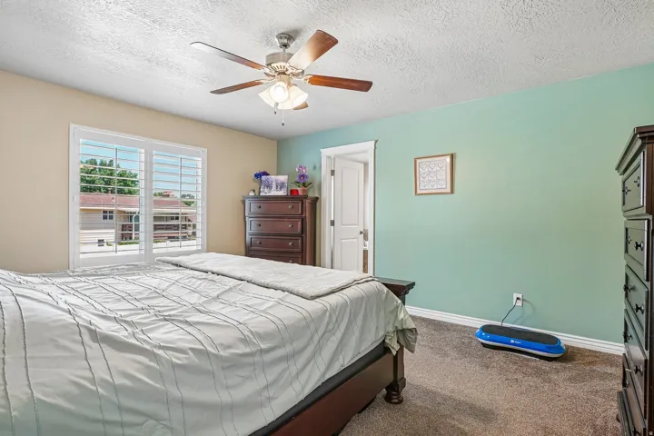 Interior room featuring a large window with white louvered shutters, light beige walls, and a feature wall in a muted green tone