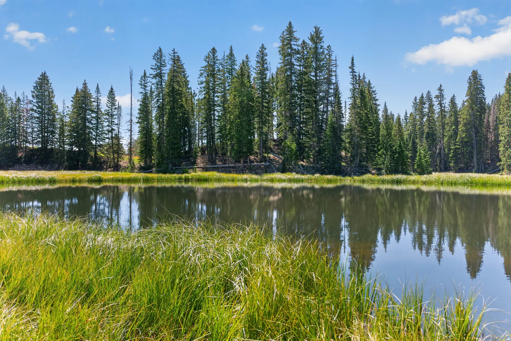 blue lake near the property (NOT ON THE PROPERTY FOR SALE)