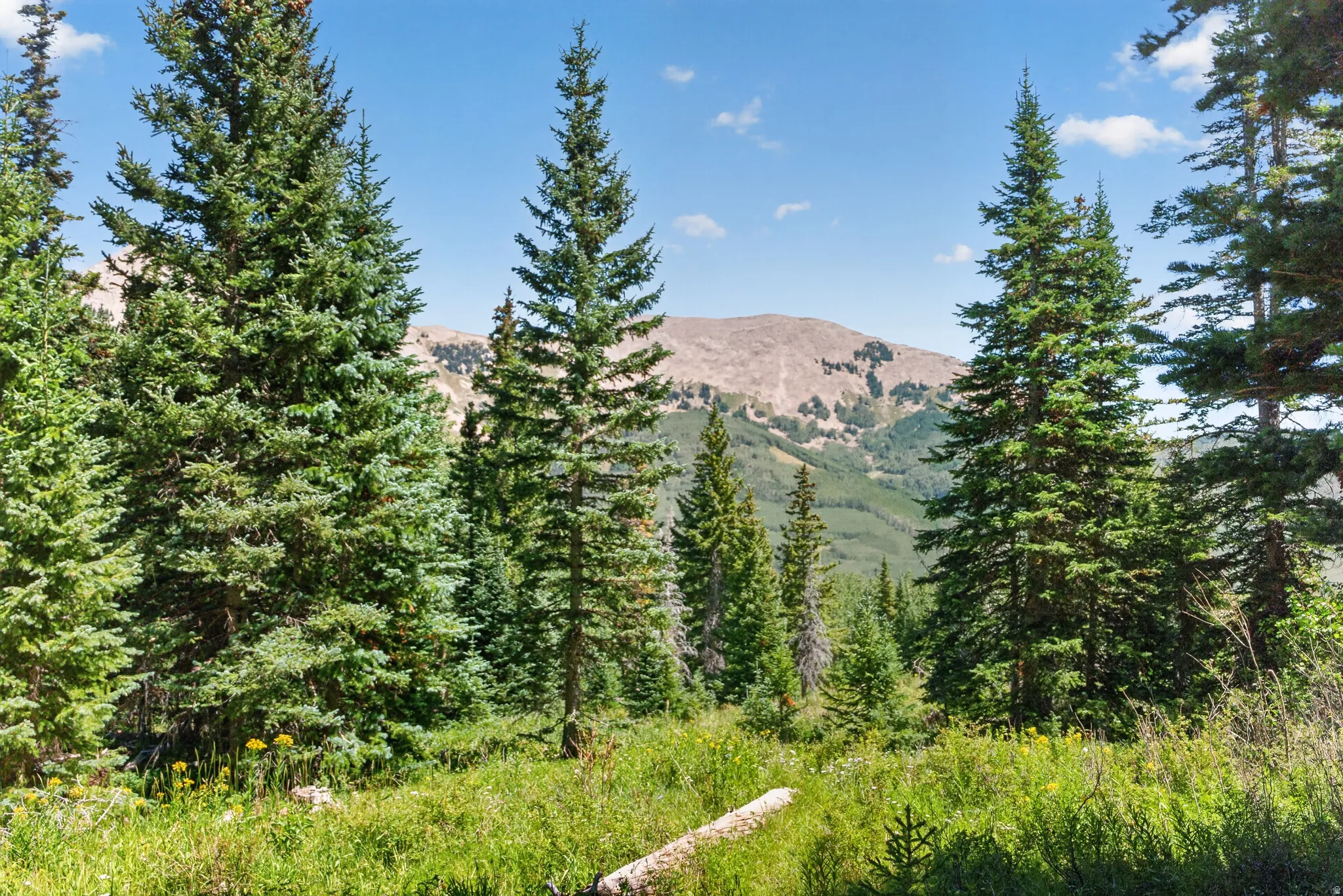 facing north mountains