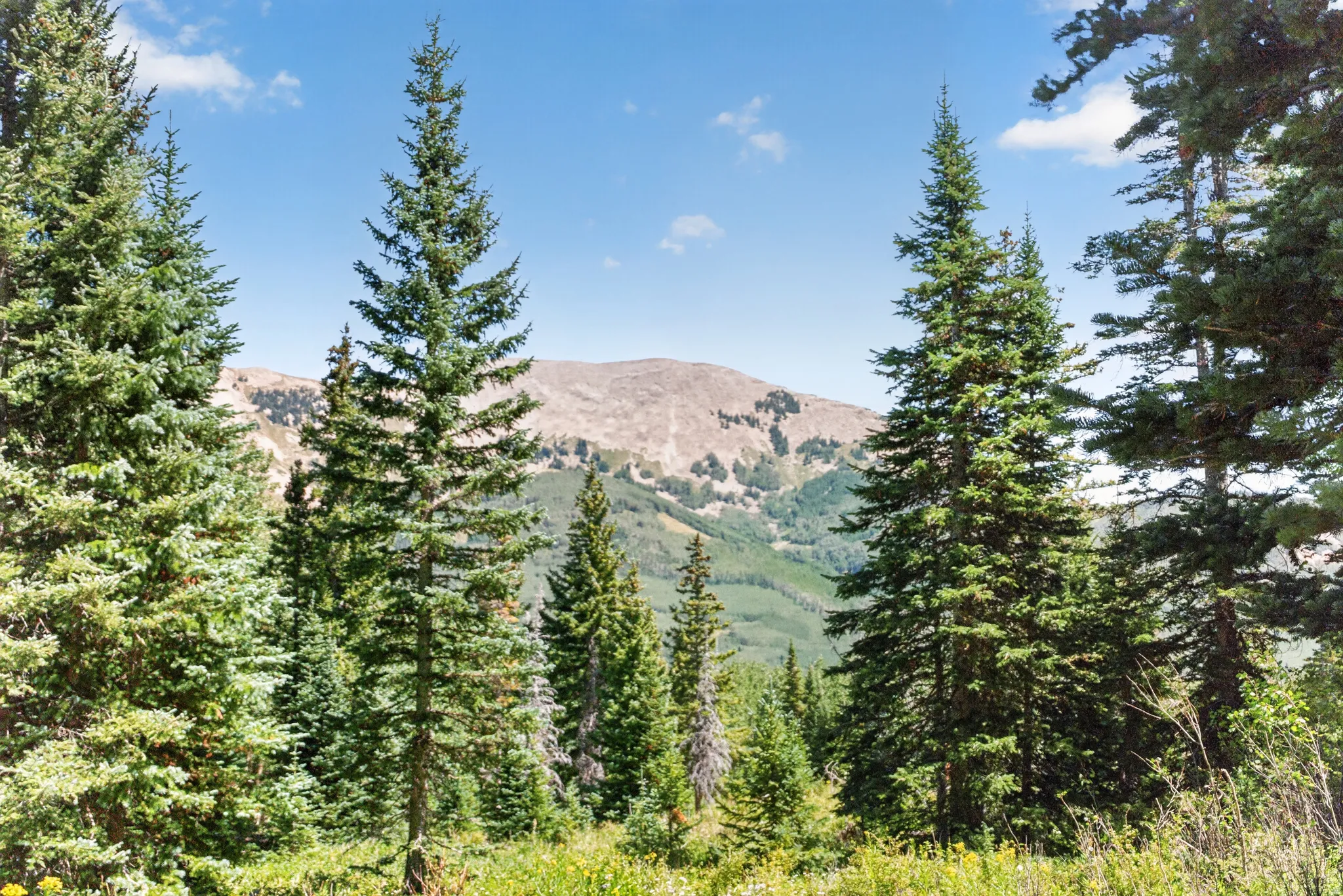 view of the mountains to the northeast from the property