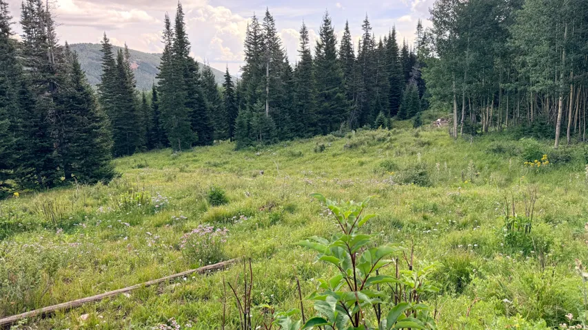 open spot in middle of property