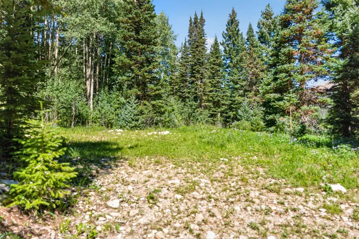 camping area