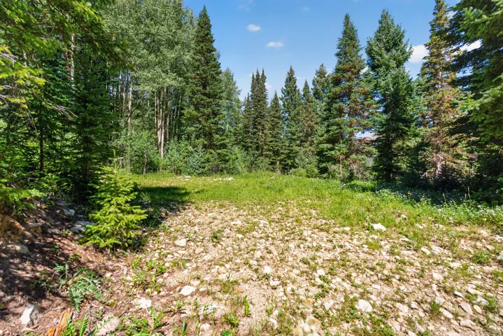 camping area