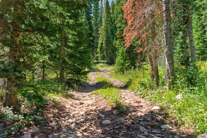 little road on north end of property