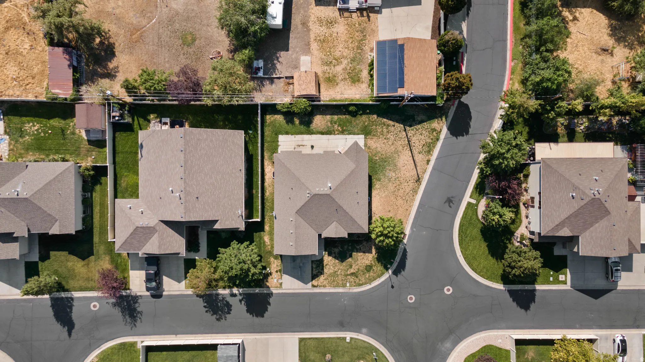 Residential property featuring a brown shingle roof, paved driveway, and established landscaping