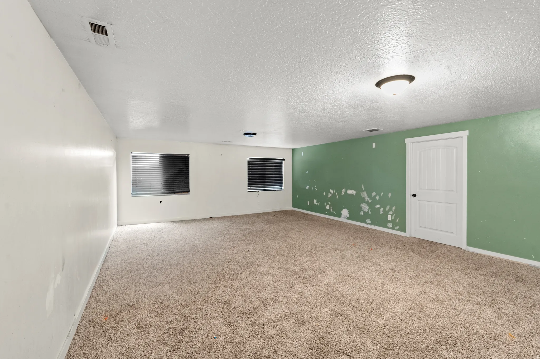 Carpeted room featuring multiple windows with horizontal blinds, a white paneled door with a black knob, and a ceiling-mounted light fixture