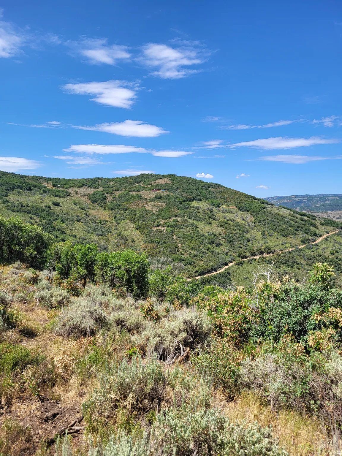 Expansive natural landscape with varied terrain and vibrant green foliage