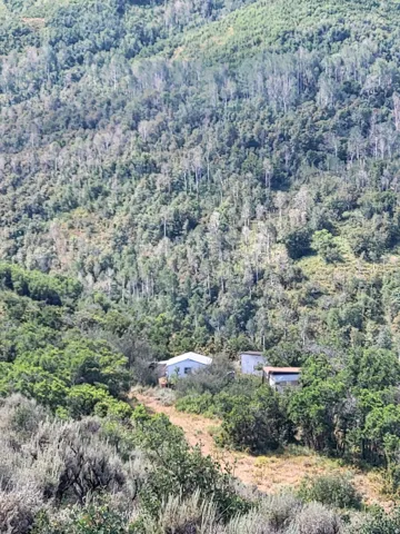 Rural property featuring multiple structures nestled in a densely forested mountain setting