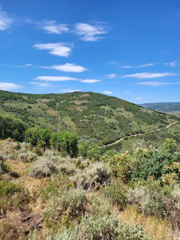 Expansive natural landscape with varied terrain and vibrant green foliage