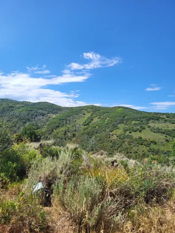 Expansive mountain landscape featuring varied green foliage and clear blue skies