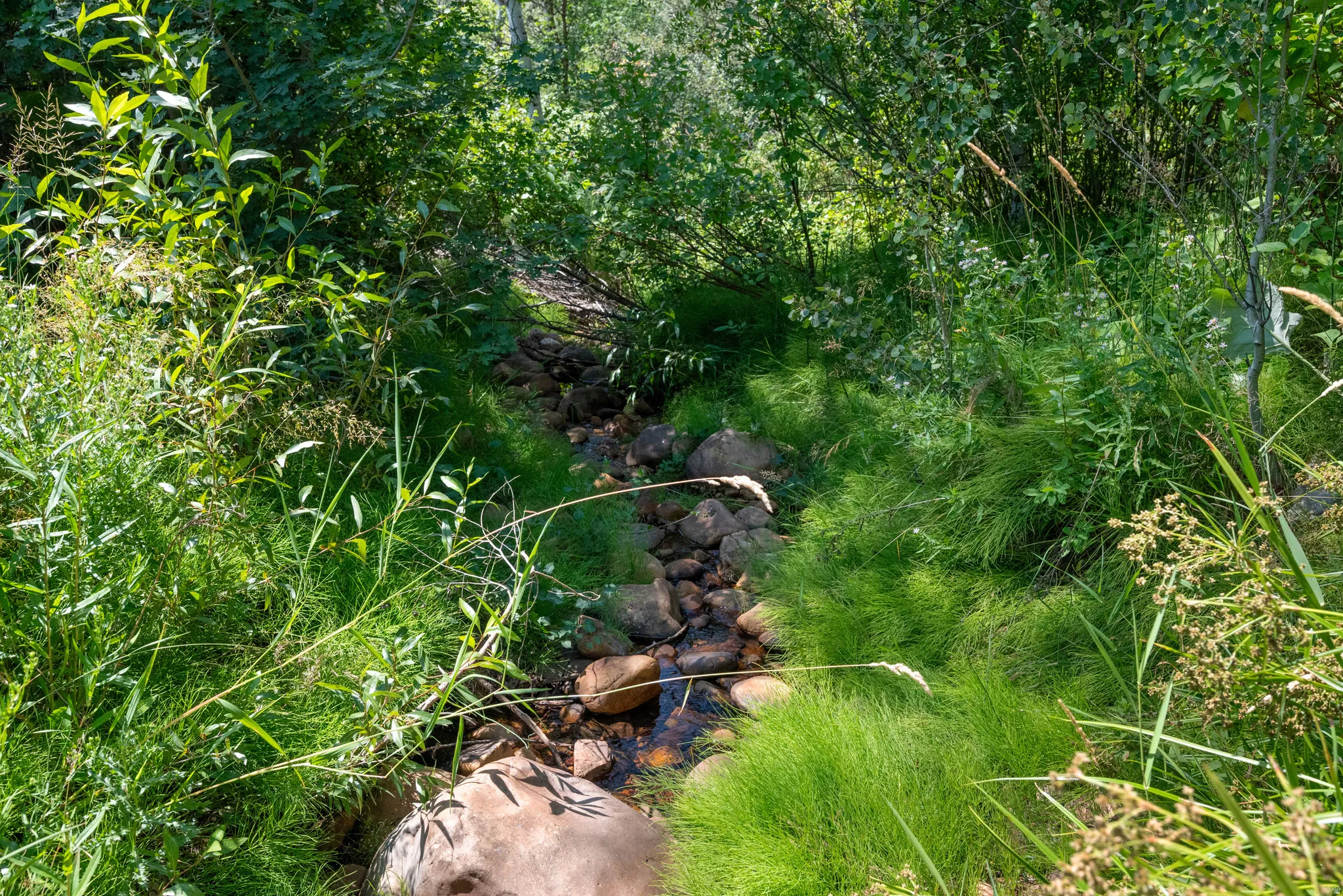 Natural stream bed with visible water flow and surrounding lush greenery