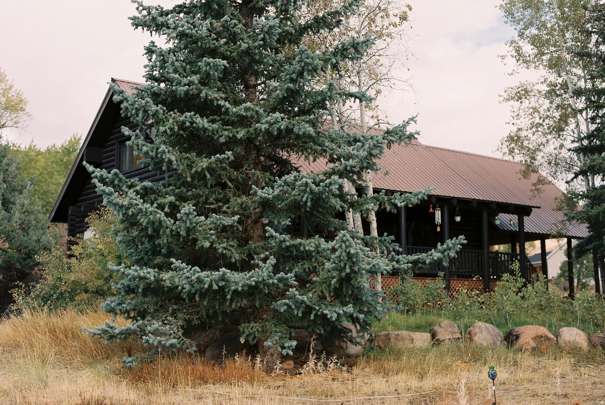 Log cabin exterior featuring a reddish-brown metal roof, an expansive covered porch, and natural wood siding
