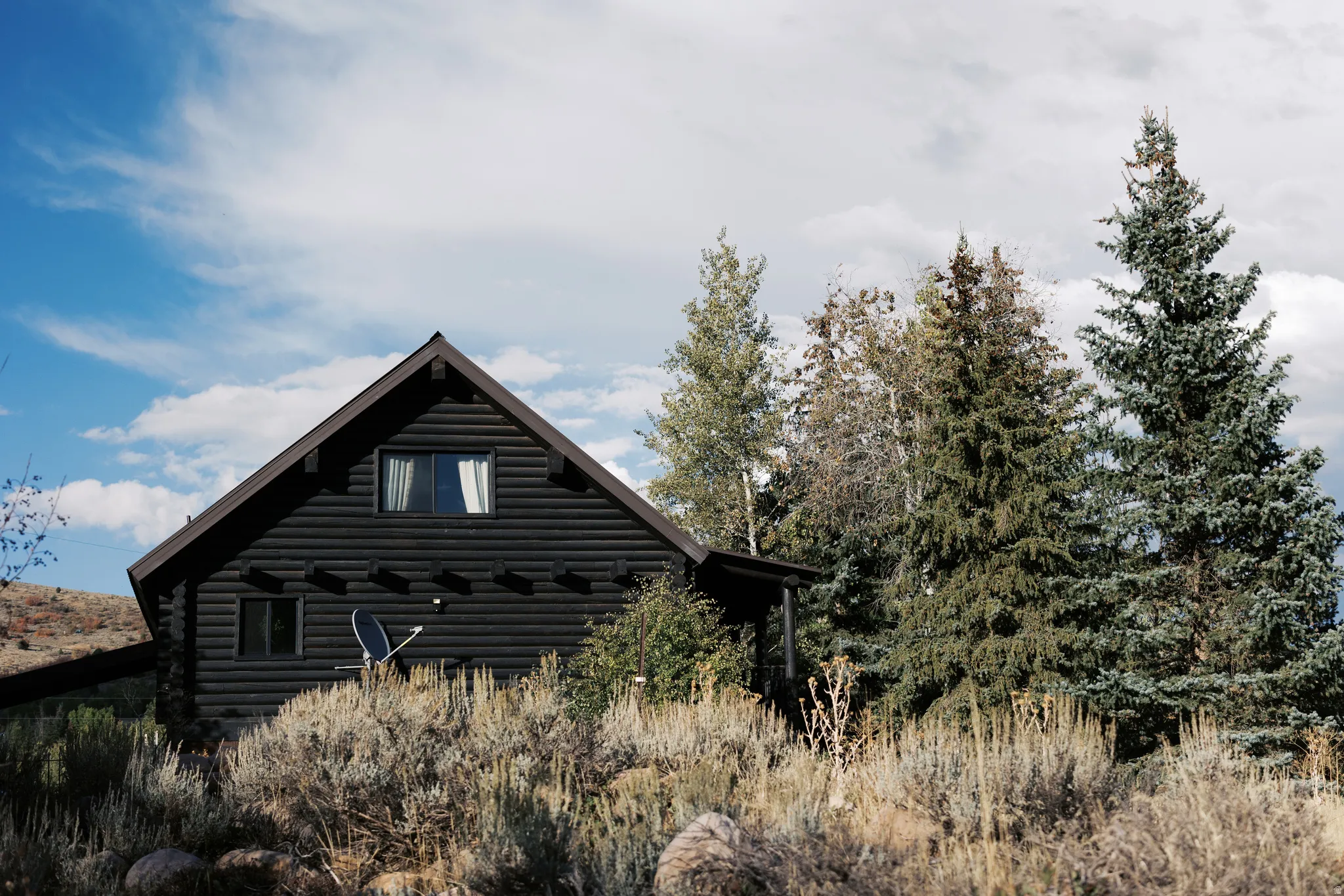 Log cabin exterior featuring a dark wood finish, an A-frame roofline, and multiple windows