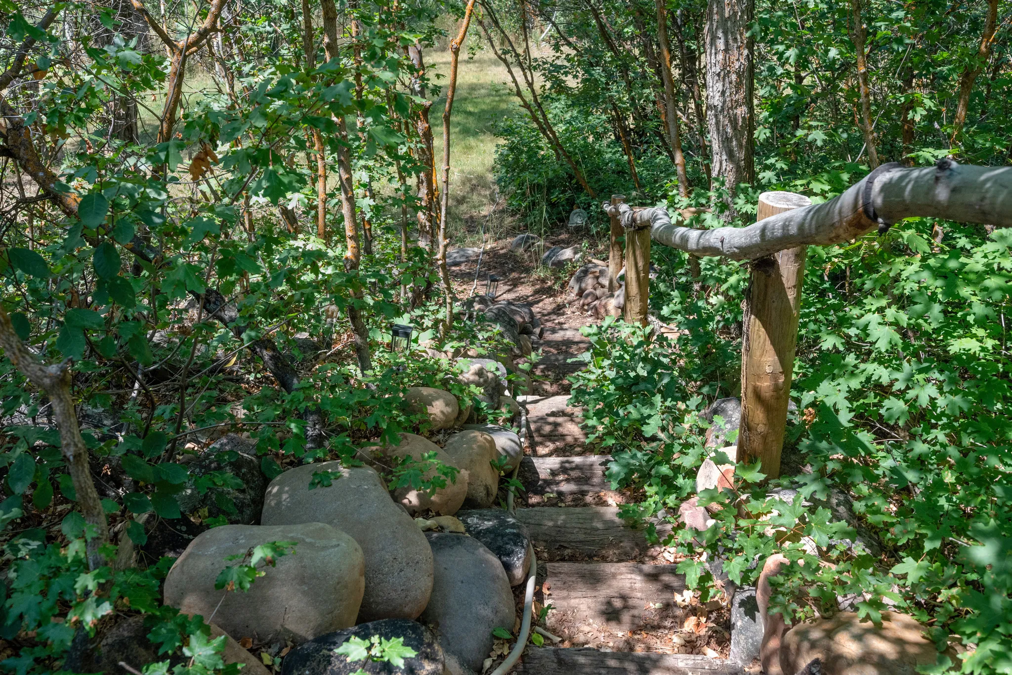 Wood-constructed steps descending through a natural, wooded landscape