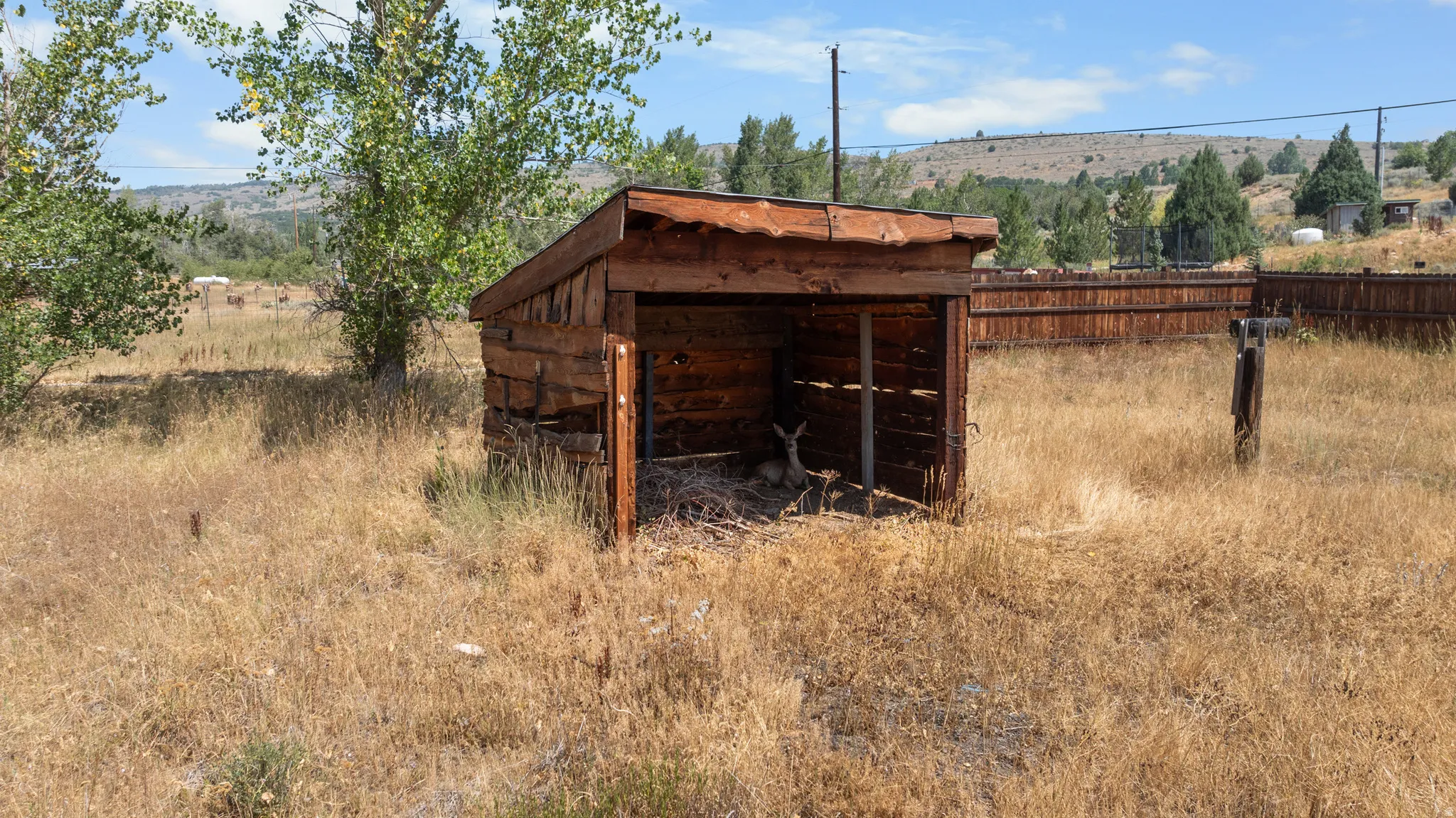 Rustic wood-sided shed with an open-front design, set within a natural landscape featuring mature trees and a wooden fence boundary