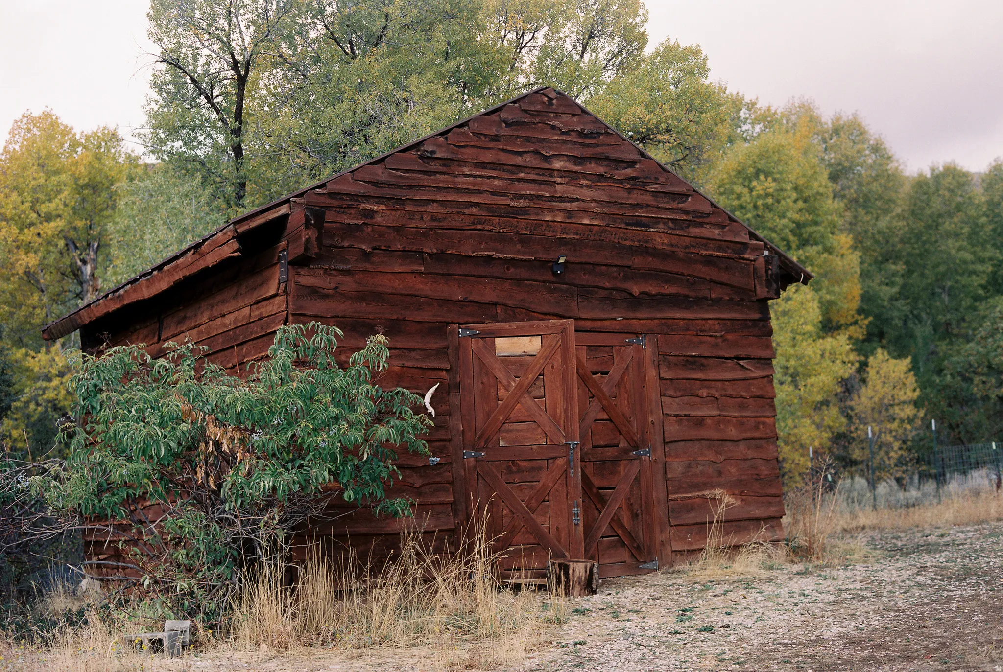 Rustic wooden outbuilding with a peaked roof and horizontal plank siding