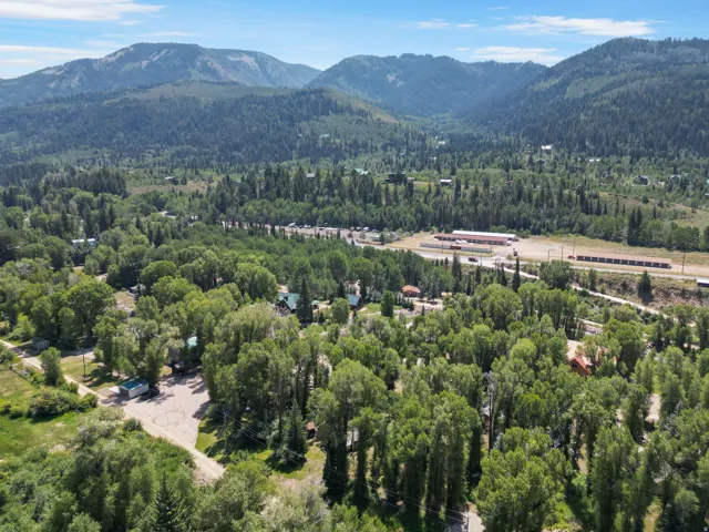 Expansive natural landscape featuring lush green trees, distant mountains, and a clear sky overhead