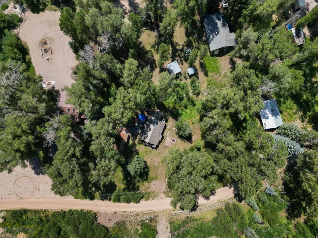Spacious wooded lot featuring multiple structures and ample cleared areas