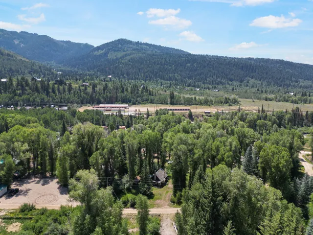 Expansive wooded landscape featuring mature deciduous and coniferous trees
