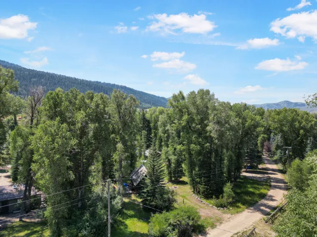 Wooded property featuring mature trees and a visible dirt road