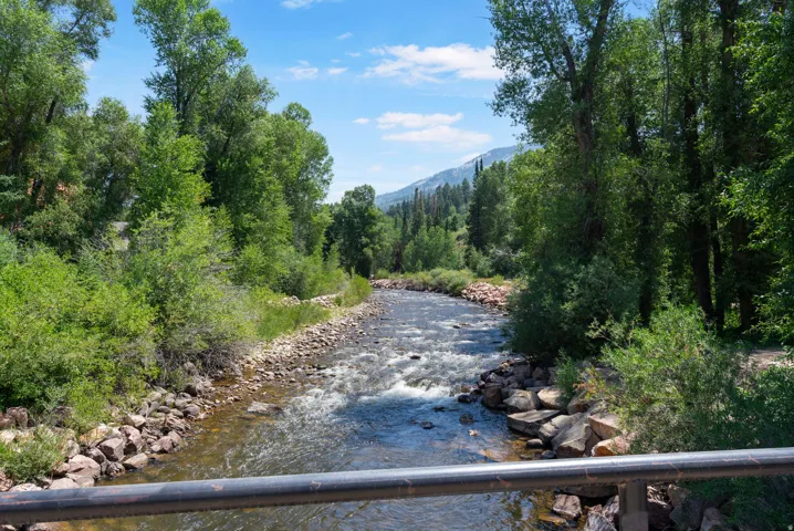 Scenic river frontage framed by lush mature trees
