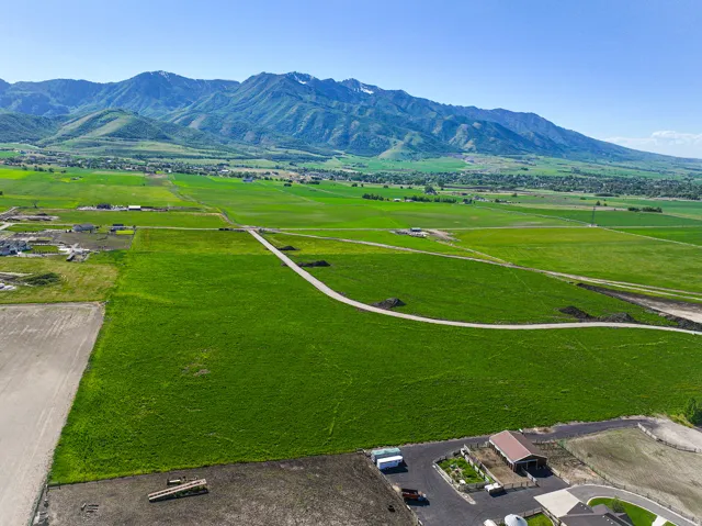 Expansive agricultural property featuring lush, verdant acreage with well-defined field divisions and established irrigation infrastructure