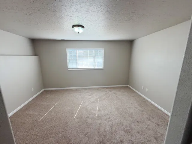 Neutral-toned wall paint, textured ceiling, flush-mount ceiling light, window with horizontal blinds, and wall-to-wall carpeting