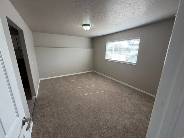 Neutral wall paint, carpeted flooring, window with blinds, overhead light fixture, and white trim