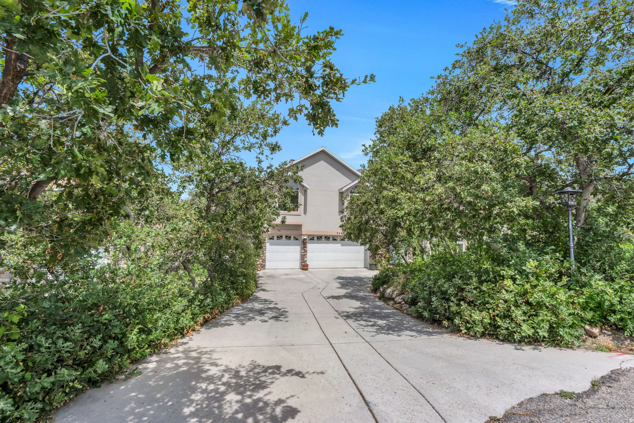 Multi-car concrete driveway extending to the front facade, flanked by mature trees and lush shrubbery
