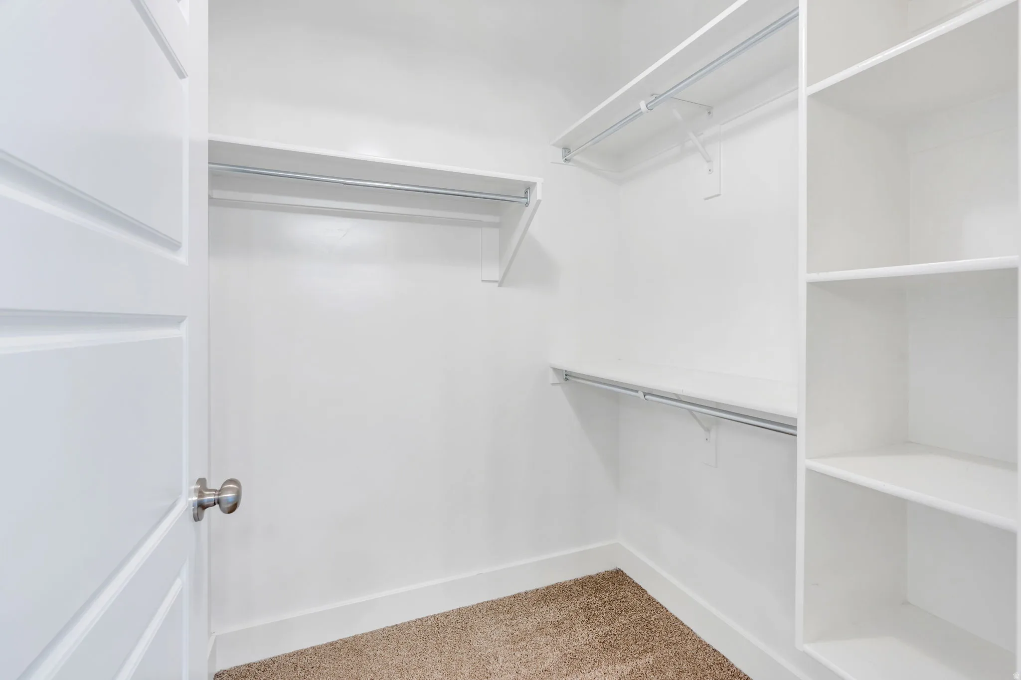 Walk-in closet featuring built-in shelving, dual hanging rods, white trim, and neutral-tone carpet flooring