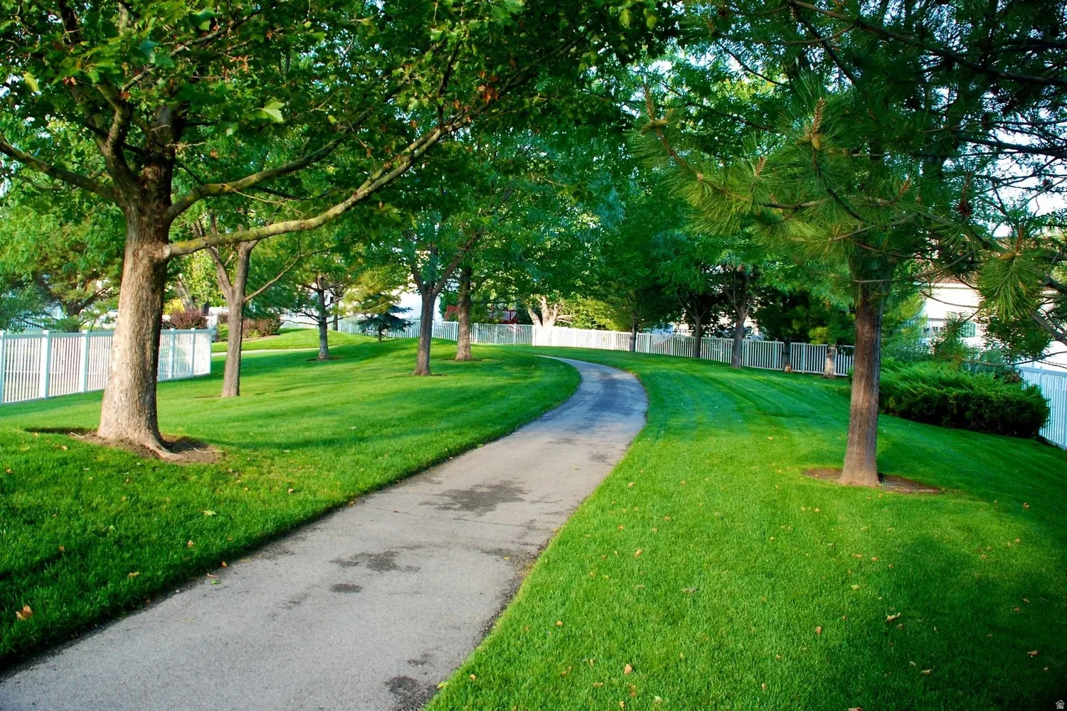 Curved asphalt pathway bordered by expansive green lawn, mature deciduous and coniferous trees, white picket fencing, and established shrubbery