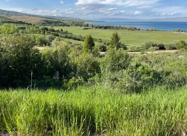 Expansive natural landscape featuring a broad body of water, rolling green hills, dense foliage, scattered evergreen trees, and a verdant foreground