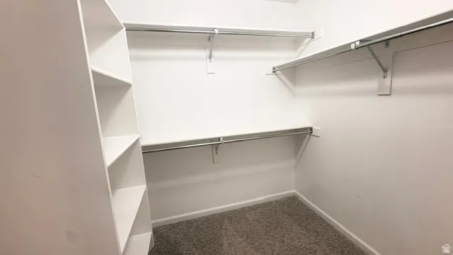 Walk-in closet featuring white walls, multi-level shelving, chrome hanging rods, and gray carpet flooring