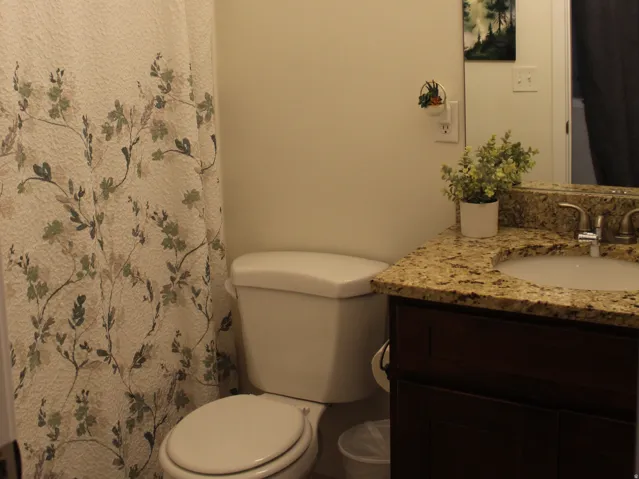 Vanity with granite-style countertop, undermount sink, and wood-finish cabinetry