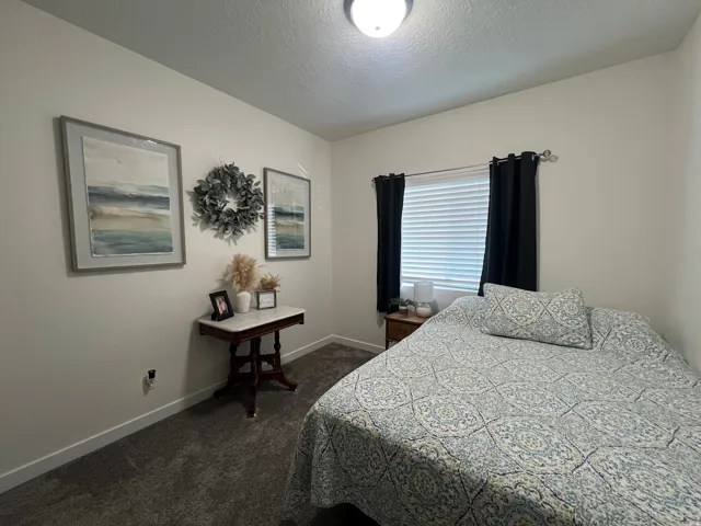 Neutral tone wall paint, flush mount ceiling light fixture, window with blinds, and dark carpet flooring