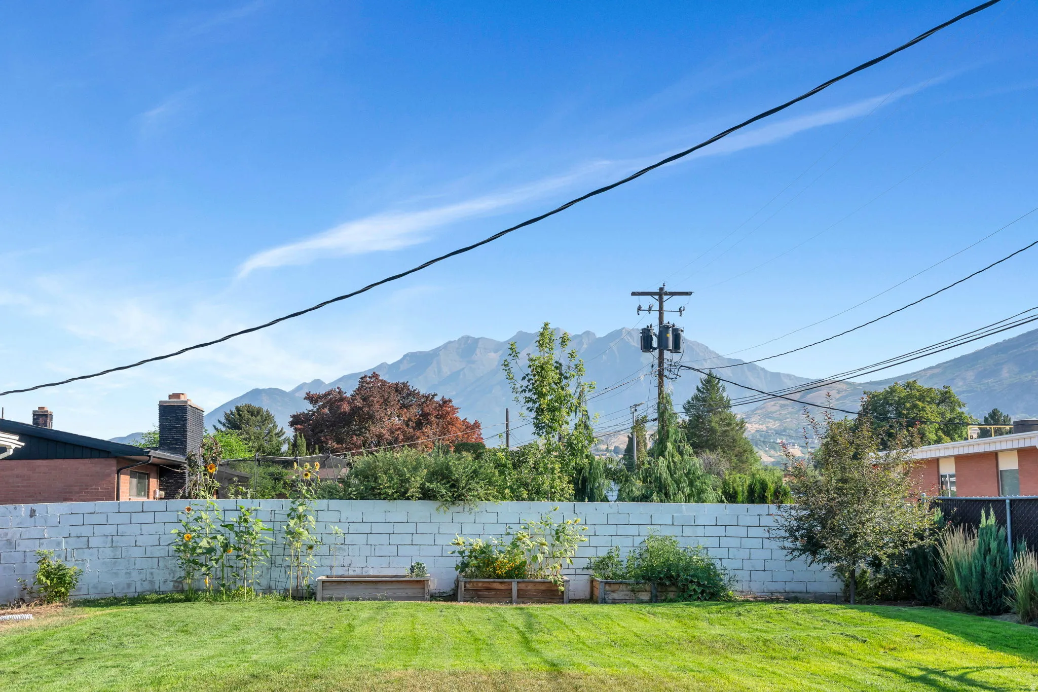 Expansive rear yard