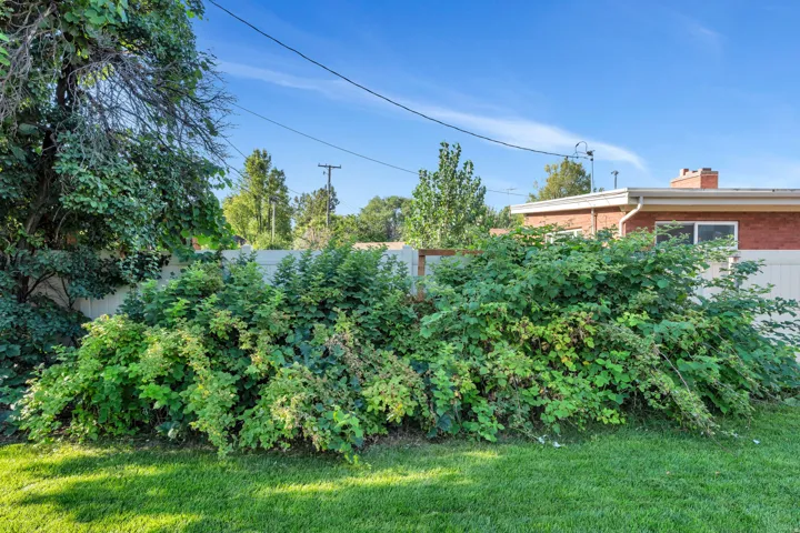 3306 N 500 E, Provo, Utah 84604