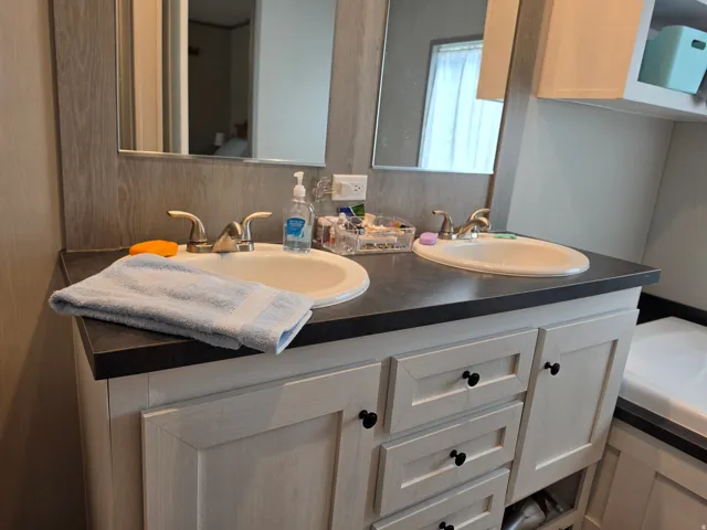 Dual vanity.