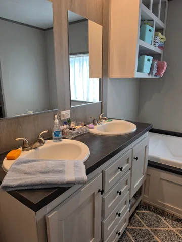 Dual vanity.